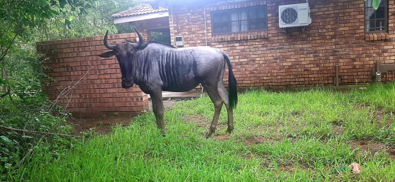 Nature Cottage Marloth Park Exterior photo